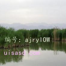 Ŀ